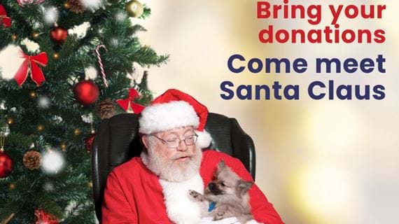 Woodrock Festive Cheer