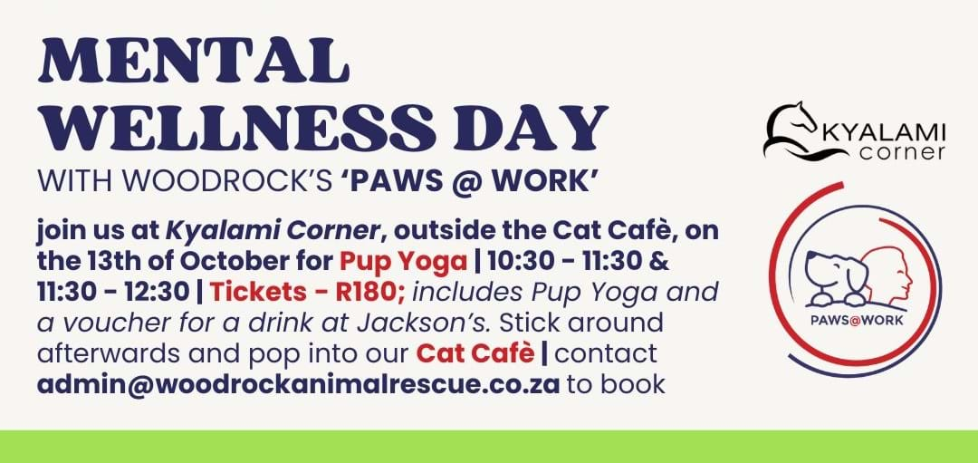 Mental Wellness Day with Woodrock’s ‘Paws @ Work’