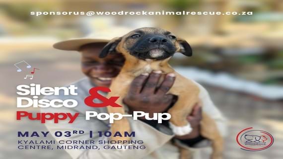 Puppy Pop-Up